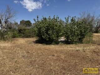 foto immobile Terreno con progetto per Villa a Volte Tipiche con Piscina, a 5 minuti dal mare n. 19