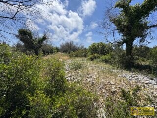 foto immobile Terreno con progetto per Villa a Volte Tipiche con Piscina, a 5 minuti dal mare n. 23