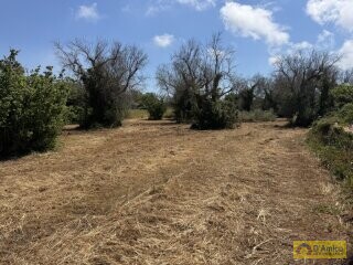 foto immobile Terreno con progetto per Villa a Volte Tipiche con Piscina, a 5 minuti dal mare n. 14