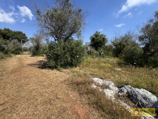 foto immobile Terreno con progetto per Villa a Volte Tipiche con Piscina, a 5 minuti dal mare n. 15