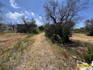 foto immobile Terreno con progetto per Villa a Volte Tipiche con Piscina, a 5 minuti dal mare n. 19
