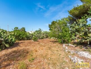 foto immobile Villa a Torre Vado a 900 mt dal mare con progetto Piscina  n. 24