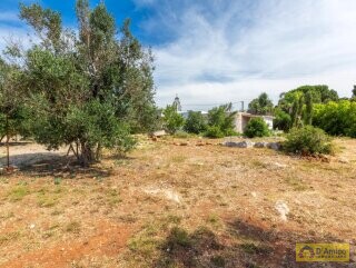 foto immobile Villa a Torre Vado a 900 mt dal mare con progetto Piscina  n. 19
