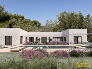 foto immobile Terreno con Progetto approvato per Villa e Piscina a Torre Vado n. 13
