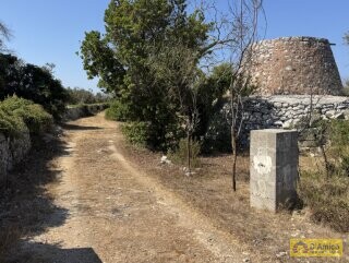 foto immobile Terreno con Progetto approvato per Villa e Piscina a Torre Vado n. 19