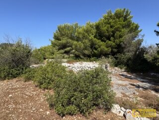 foto immobile Terreno con Progetto approvato per Villa e Piscina a Torre Vado n. 39