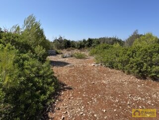 foto immobile Terreno con Progetto approvato per Villa e Piscina a Torre Vado n. 22