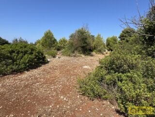 foto immobile Terreno con Progetto approvato per Villa e Piscina a Torre Vado n. 38