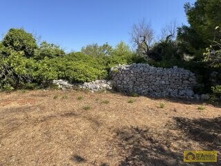 foto immobile Terreno con Progetto approvato per Villa e Piscina a Torre Vado n. 37