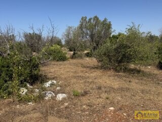 foto immobile Terreno con Progetto approvato per Villa e Piscina a Torre Vado n. 25