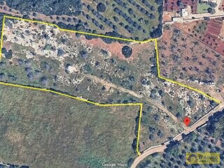 foto immobile Terreno edificabile per villa con piscina, più 2 pajare, a 2 km dal mare n. 15