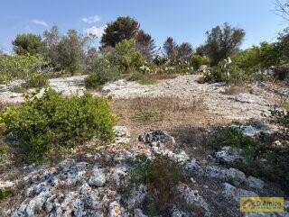 foto immobile Terreno edificabile per villa con piscina, più 2 pajare, a 2 km dal mare n. 7