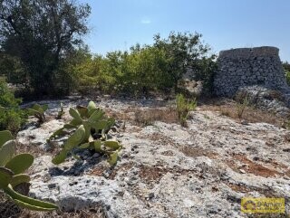 foto immobile Terreno edificabile per villa con piscina, più 2 pajare, a 2 km dal mare n. 9
