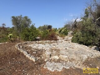 foto immobile Terreno edificabile per villa con piscina, più 2 pajare, a 2 km dal mare n. 15