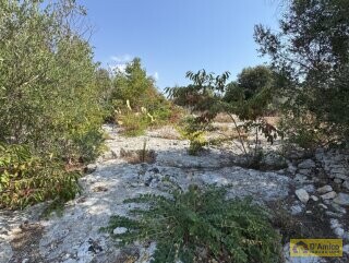 foto immobile Terreno edificabile per villa con piscina, più 2 pajare, a 2 km dal mare n. 17