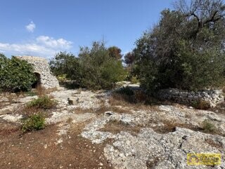 foto immobile Terreno edificabile per villa con piscina, più 2 pajare, a 2 km dal mare n. 8