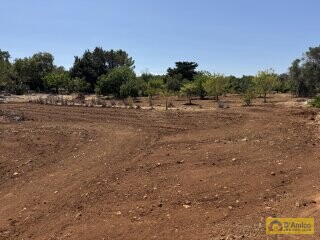 foto immobile Terreno per Tenuta con grande Villa con piscina a Carovigno (BR) n. 15