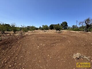 foto immobile Terreno per Tenuta con grande Villa con piscina a Carovigno (BR) n. 17