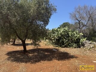 foto immobile Terreno per Tenuta con grande Villa con piscina a Carovigno (BR) n. 2