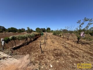foto immobile Terreno per Tenuta con grande Villa con piscina a Carovigno (BR) n. 20
