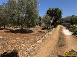 foto immobile Terreno per Tenuta con grande Villa con piscina a Carovigno (BR) n. 25