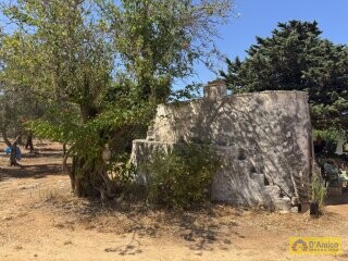 foto immobile Terreno per Tenuta con grande Villa con piscina a Carovigno (BR) n. 6