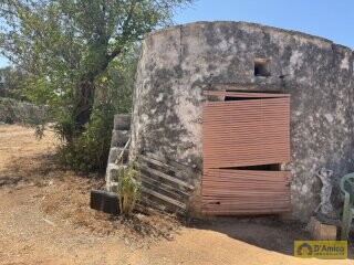 foto immobile Terreno per Tenuta con grande Villa con piscina a Carovigno (BR) n. 7