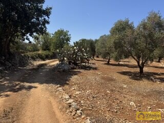 foto immobile Terreno per Tenuta con grande Villa con piscina a Carovigno (BR) n. 8